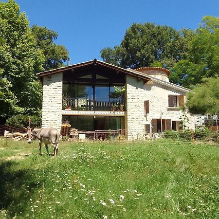 Les Favouilles - Gite & Chambres D Hotes Dauphin ภายนอก รูปภาพ